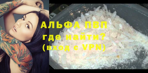 СК Ладушкин